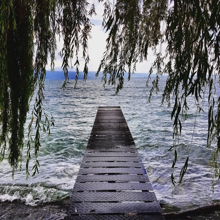 IMG_20170723_125623_091